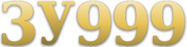 3y999 logo